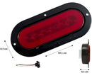 555- PLAFÓN NEÓN 24 LEDS ARO ABS Y CONECTOR